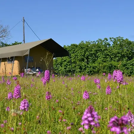 Simply Canvas Farm *