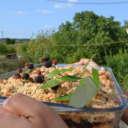 Hotel Simply Canvas Farm